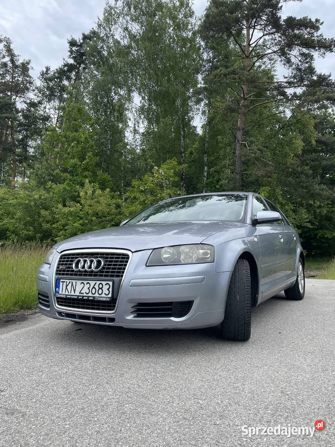Audi A3 8P 19 TDI 105 Łętowice