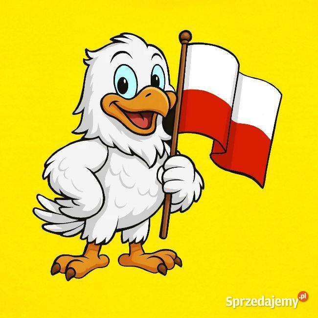 Młodzieżowa bluza z kapturem Patriotyczna bluza Kraków