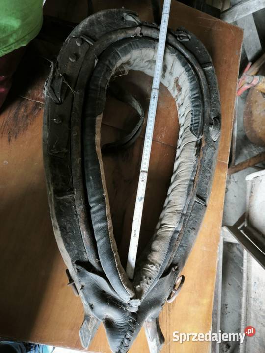 Chomonto skórzane Dla koni Pajęczno