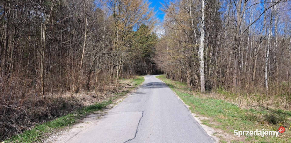 PROMOCJA Dwie działki w jednej Słynny zalew asfalt Przyłogi