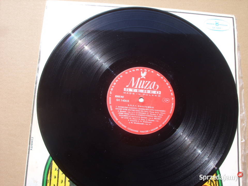 Winyl LP CHAŁTURNIKKTO TAK PIĘKNIE GRA Muza SX Muzyka Wołów