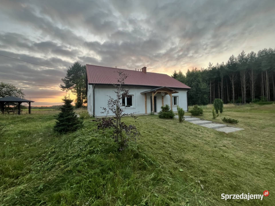 Stryjkowo dom na wsi las cisza 3000 m2 siedlisko piwnica