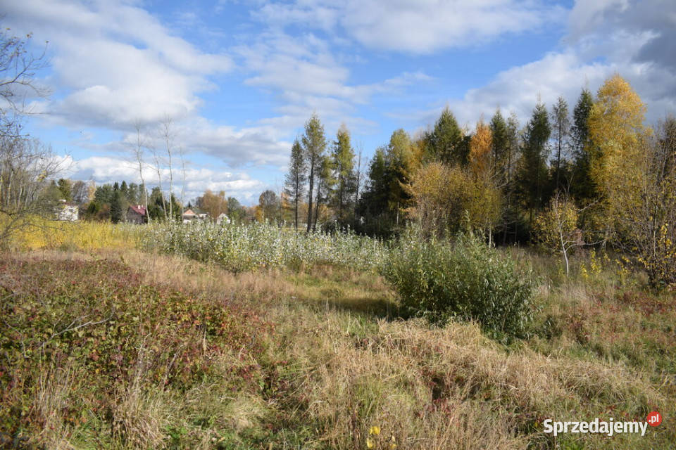 Działka 1937a Rzeszów Sprzedaż podkarpackie