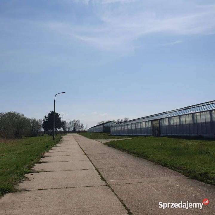 Nieruchomość rolna 3983ha 18zł/m2 Dłużyna Górna