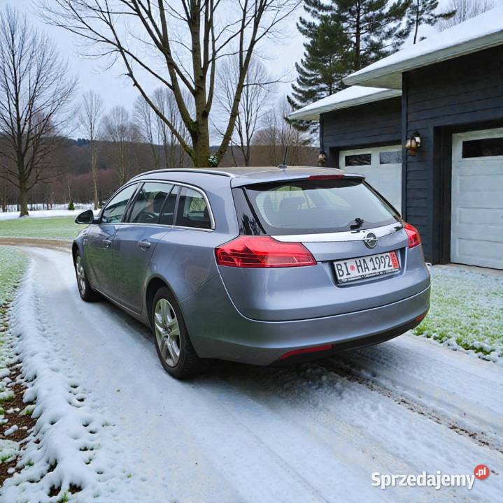 Opel Insignia Idealny Stan Auta Serwis ASO