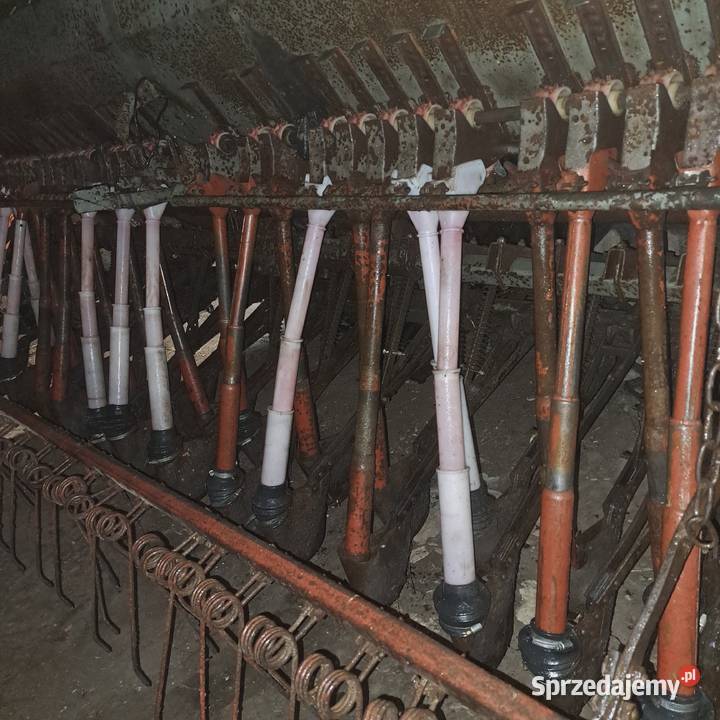 Siewnik poznaniak 25m na docisku Stary Korczyn