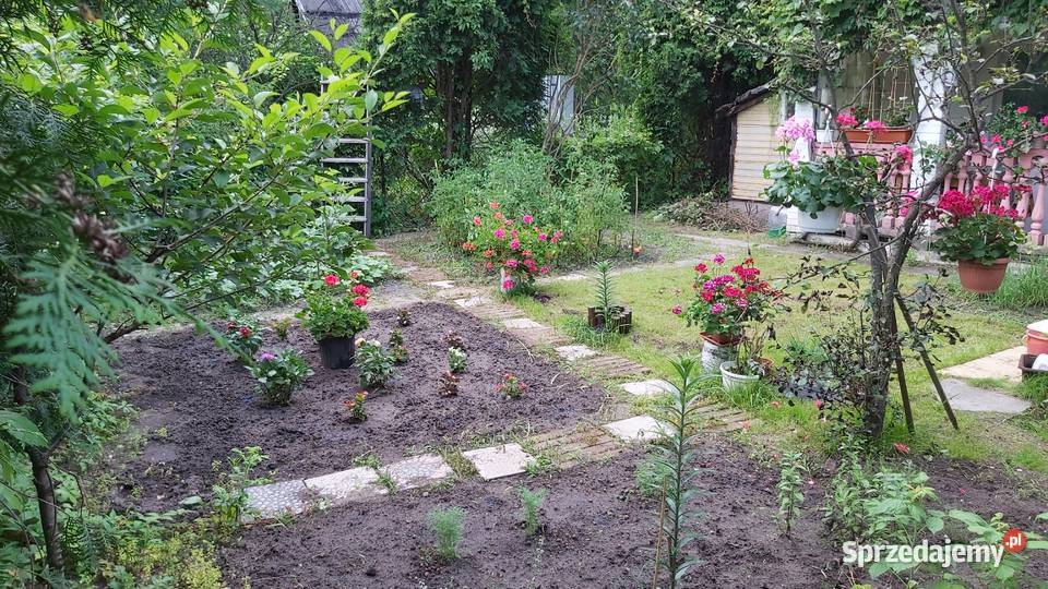 Sprzedam działkę ROD Sprzedaż Warszawa