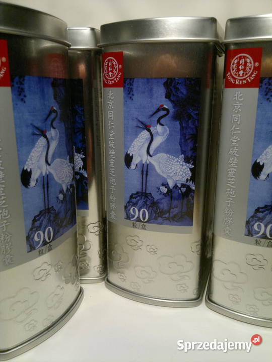 Grzyb BOSKIREISHI pomoc onkoterapia Warszawa