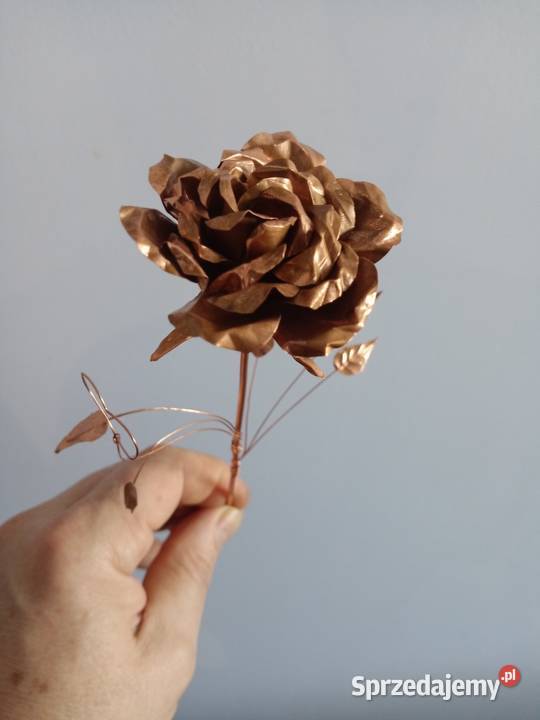 Róże miedziane metaloplasyka Rybnik