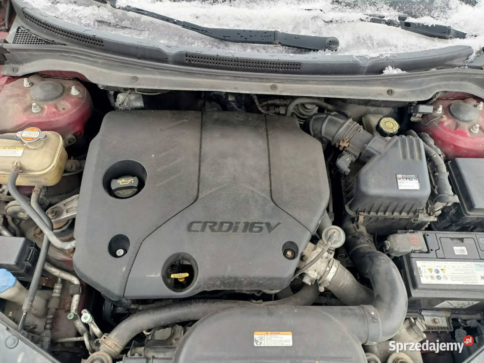 Kia Ceed Kia Ceed 16CRDI 115 07r I 20062012 Kia Tarnów