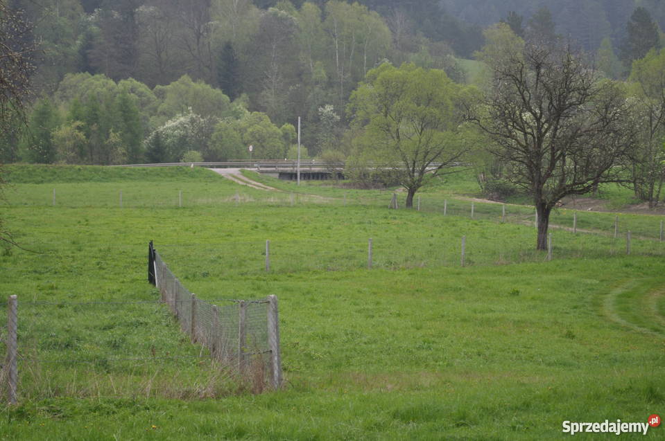 sprzedam działkę z domkiem Bieszczady Wojtkowa sprzedam