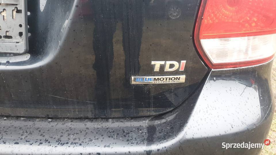Volkswagen Golf 6 16 TDI PANORAMA 105KM wielkopolskie Leszno sprzedam