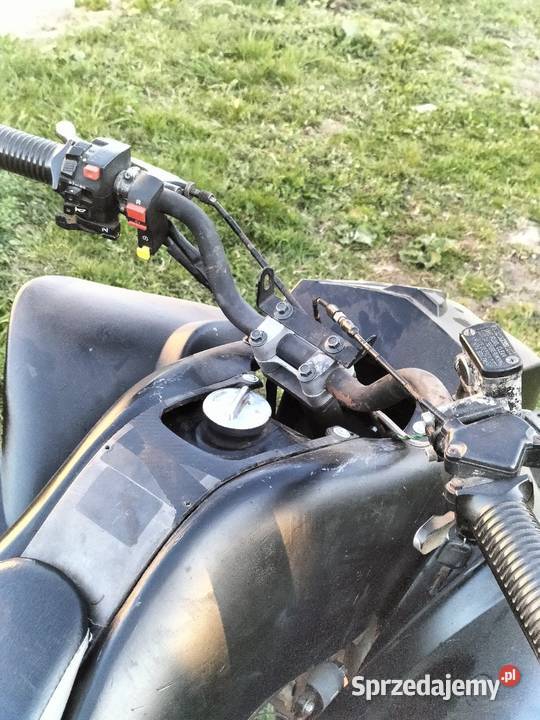 Bashan 250 lubelskie