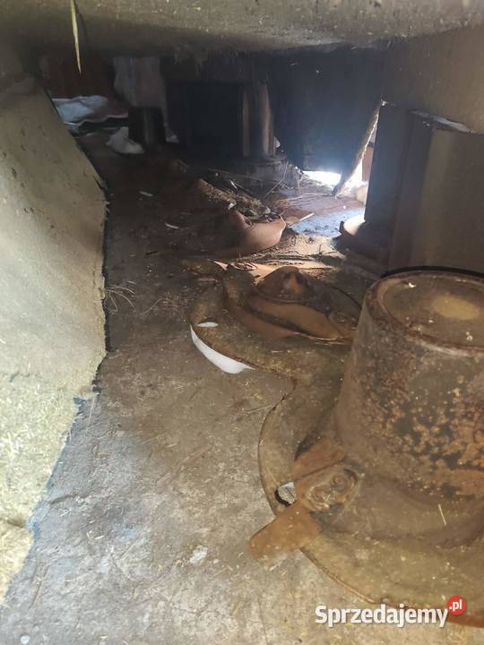 Kosiarka czołowa Krone Pozostałe Grajewo