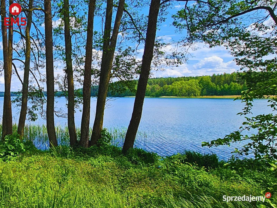 Działka 1130m2 Dąbrówno