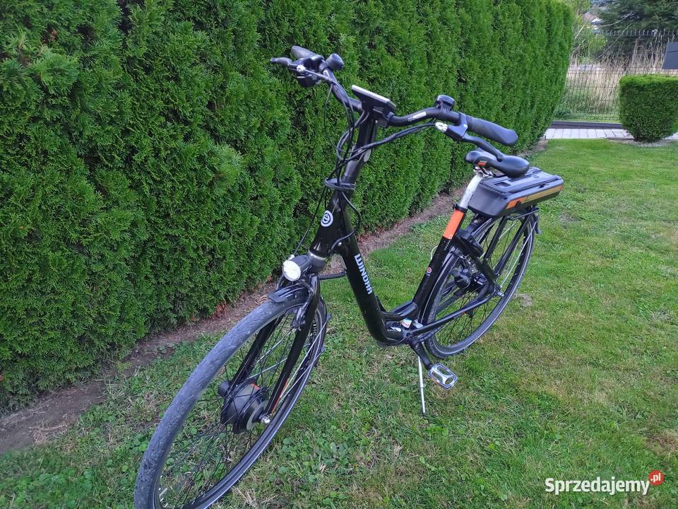 Rower Elektryczny Winora śląskie Lubomia