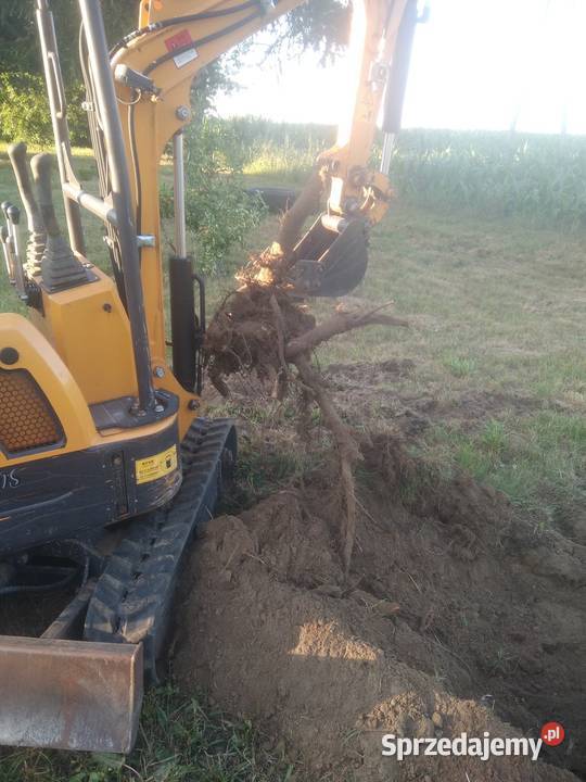 Opryski ogrodów przeciwko insektom Strzegowo prace ogrodowe