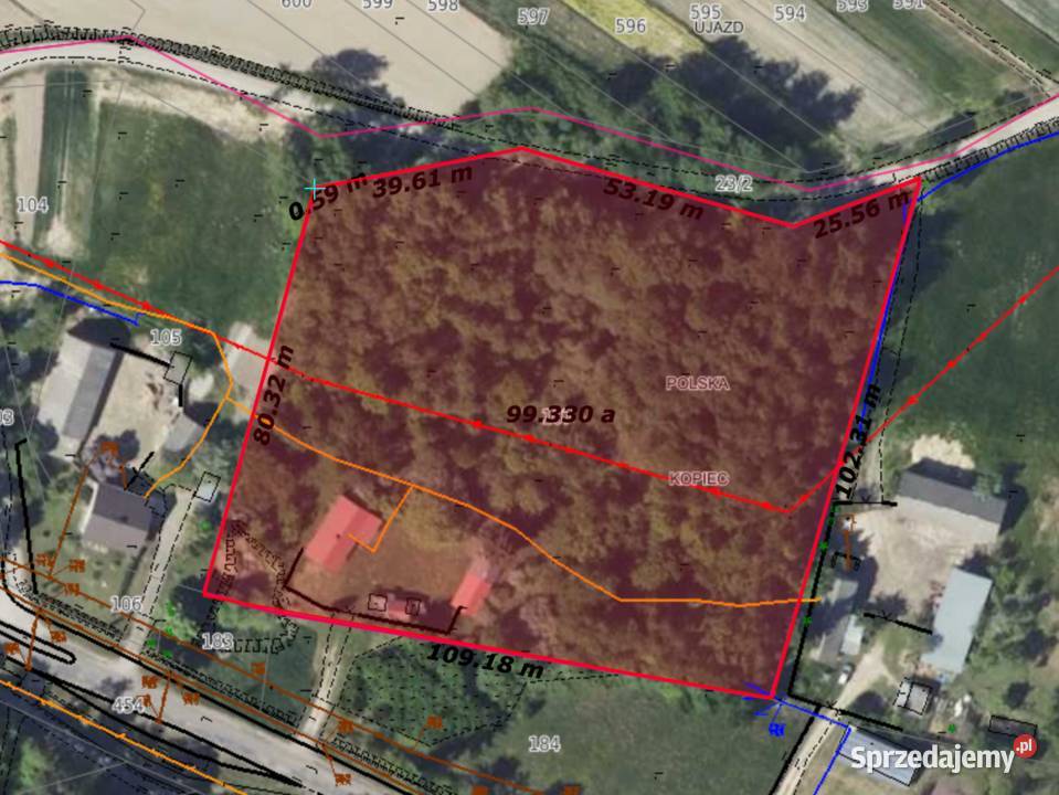 Duża działka z domem w pobliżu zamku Sprzedaż sprzedam