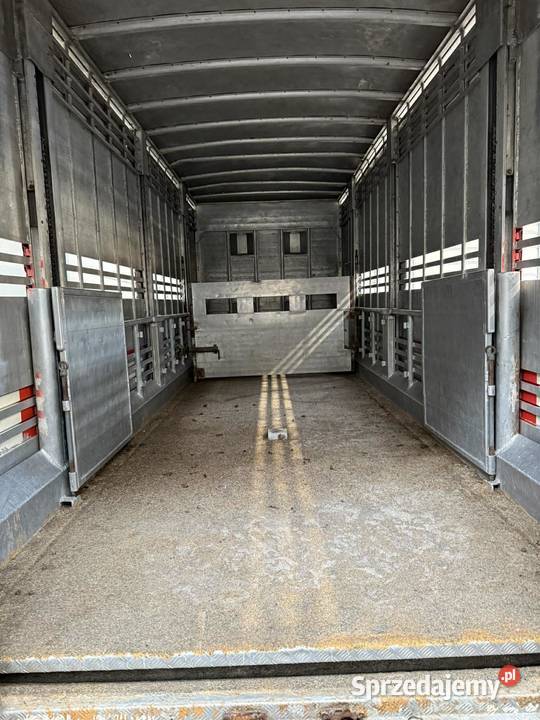 Mercedes 2545 do bydła świętokrzyskie sprzedam