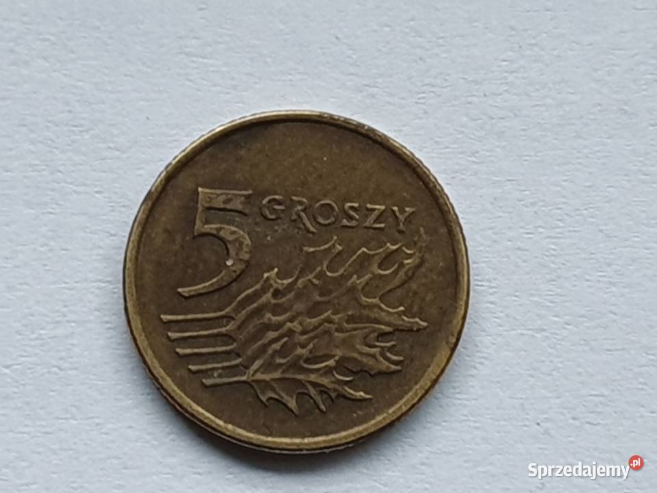 5 gr 1993r Odwrotka 180 Będzin