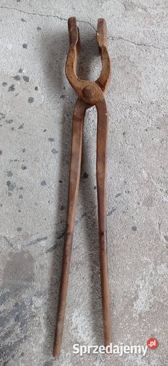 Kleszcze kowalskie Krotoszyn