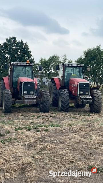Massey Ferguson 8160 wielkopolskie Jastrzębniki