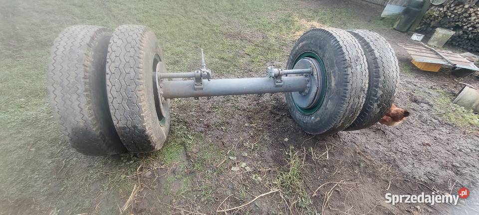 Os mocna i solidna podkarpackie Bolestraszyce