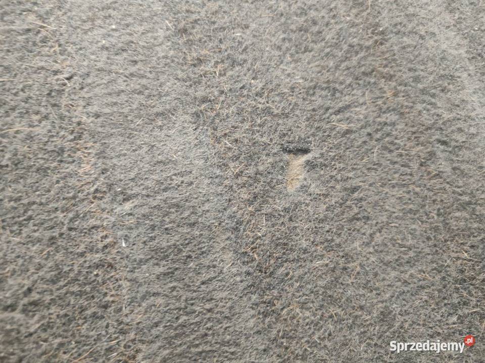 Podłoga Wykładzina Bagażnika Jeep Compass I Pleszew