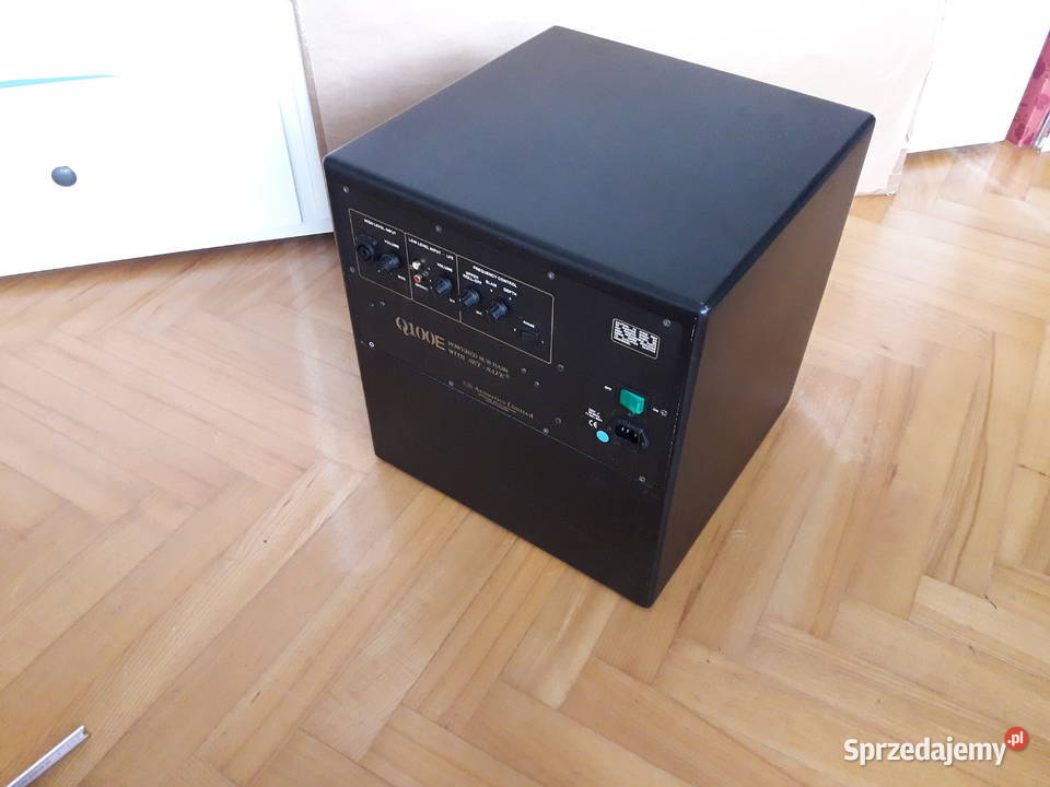 subwoofer rel q100e Audio Lubin