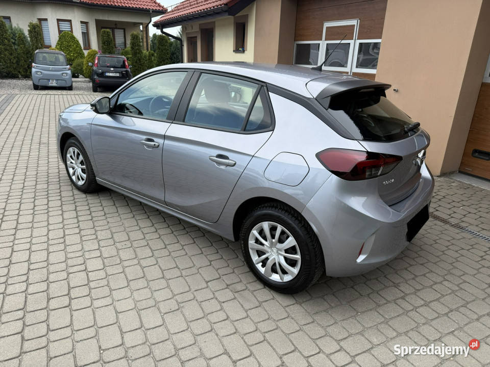 Opel Corsa 12 75 F 2019 Orzech