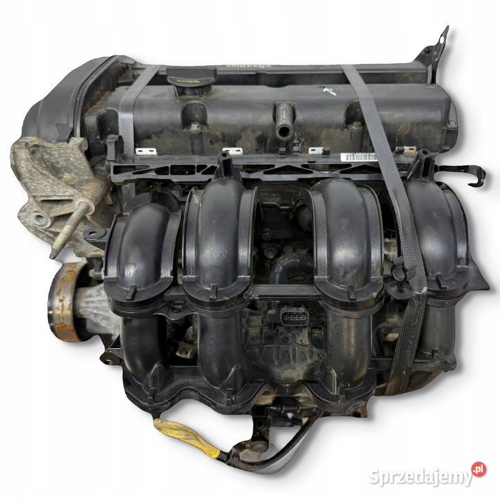 SILNIK SNJA Ford Fiesta VII MK7 125 82 KOMPLETNY Chełm