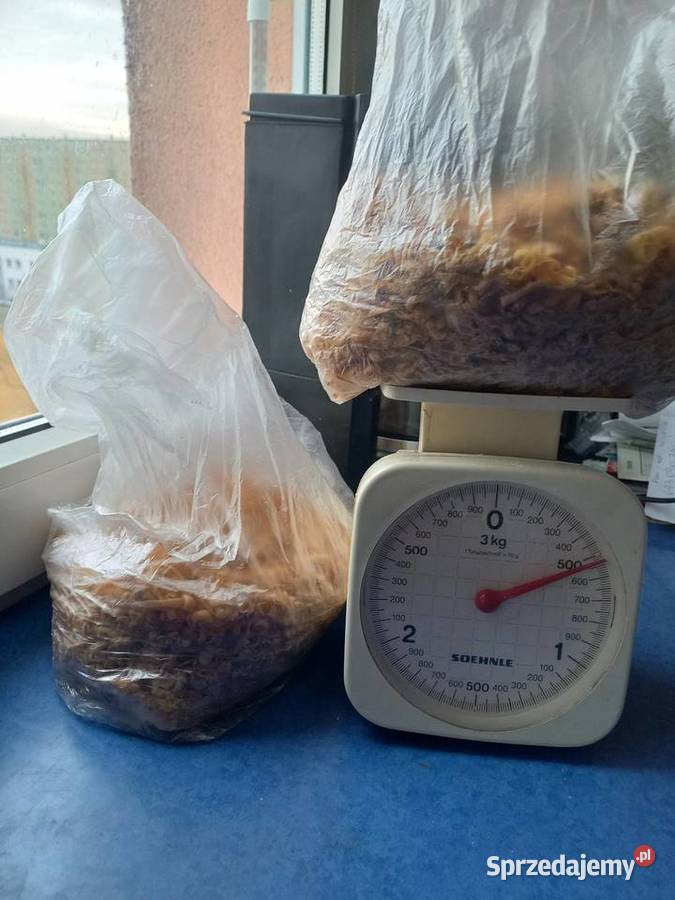 Mydło szare prl płatki Łódź