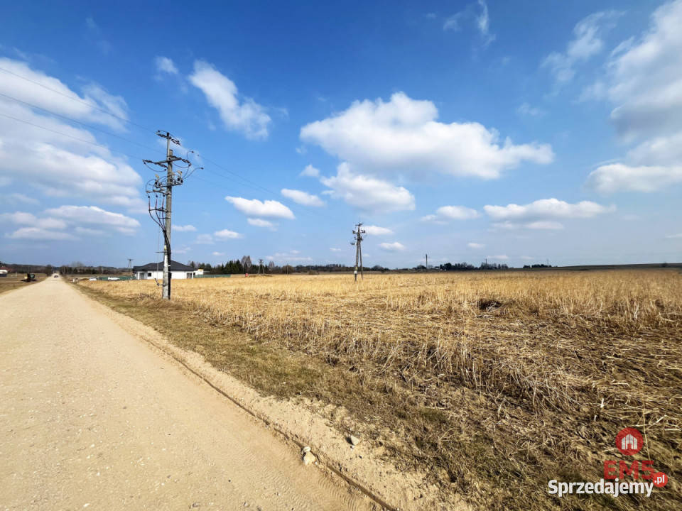 Działkę sprzedam 10000m2 Nowe Aleksandrowo 280m podlaskie sprzedam