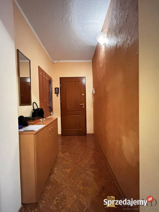 Mieszkanie Stargard 5294m2 3pok Liczba pokoi 3