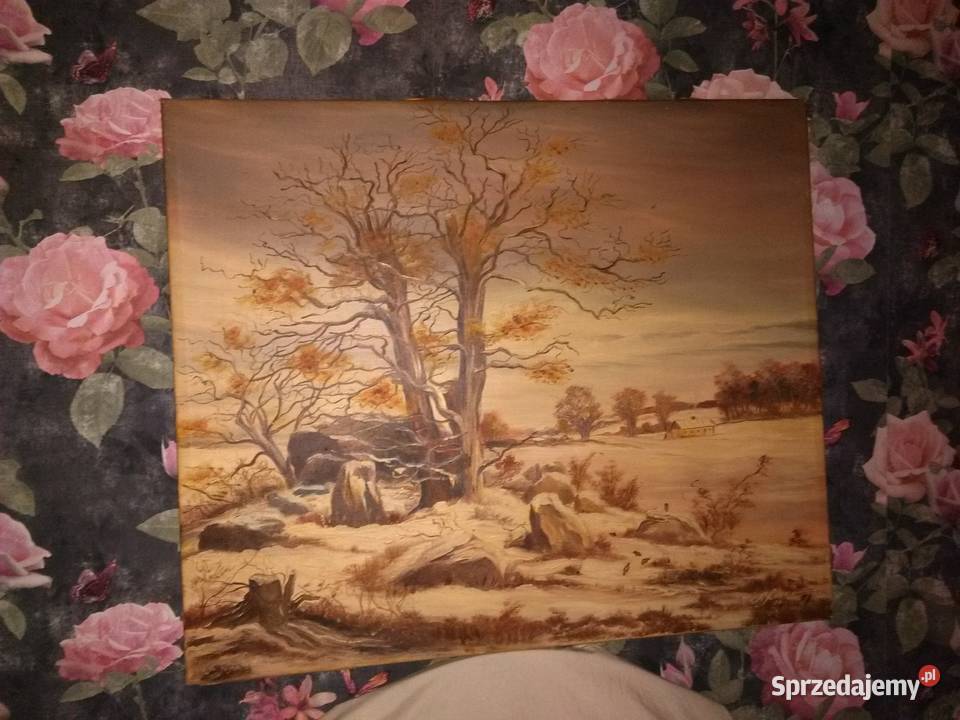 Cikawy pejzaż Malarstwo Katowice sprzedam
