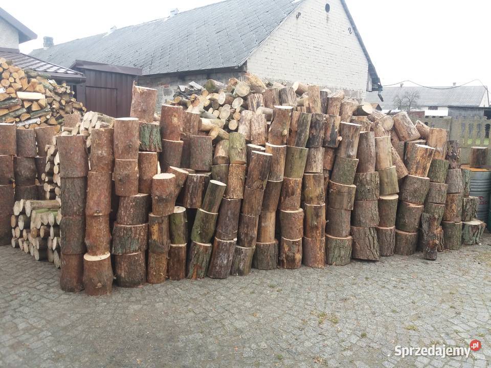 Sosna Drzewo Drewno SUCHE SUCHA Sosnę Opał Łaskarzew