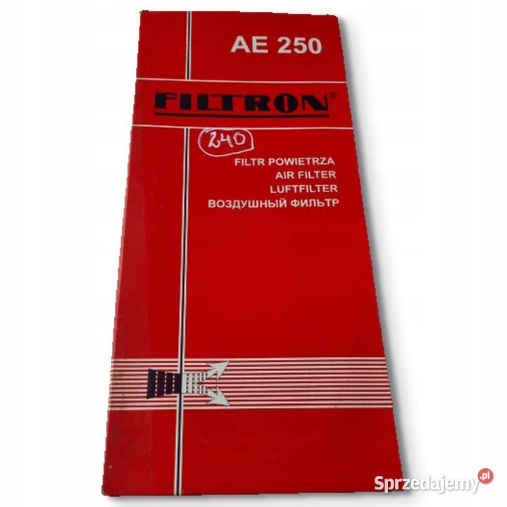 FILTR POWIETRZA Filtron AE 250 AE250 Escort III Chełm