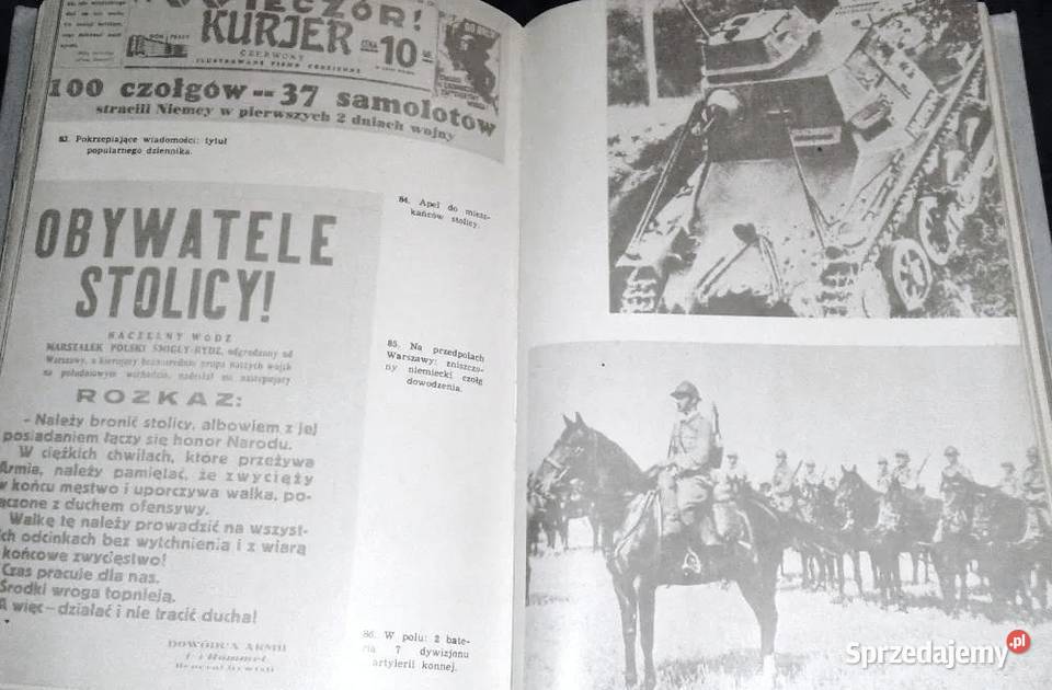 Z dziejów drugiej Rzeczypospolitej Olgierd sprzedam