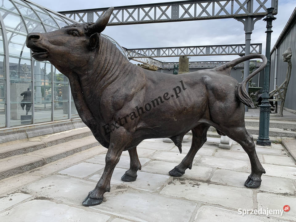 OBSERWUJ Niedźwiedź figura z brązu H200 Katowice sprzedam