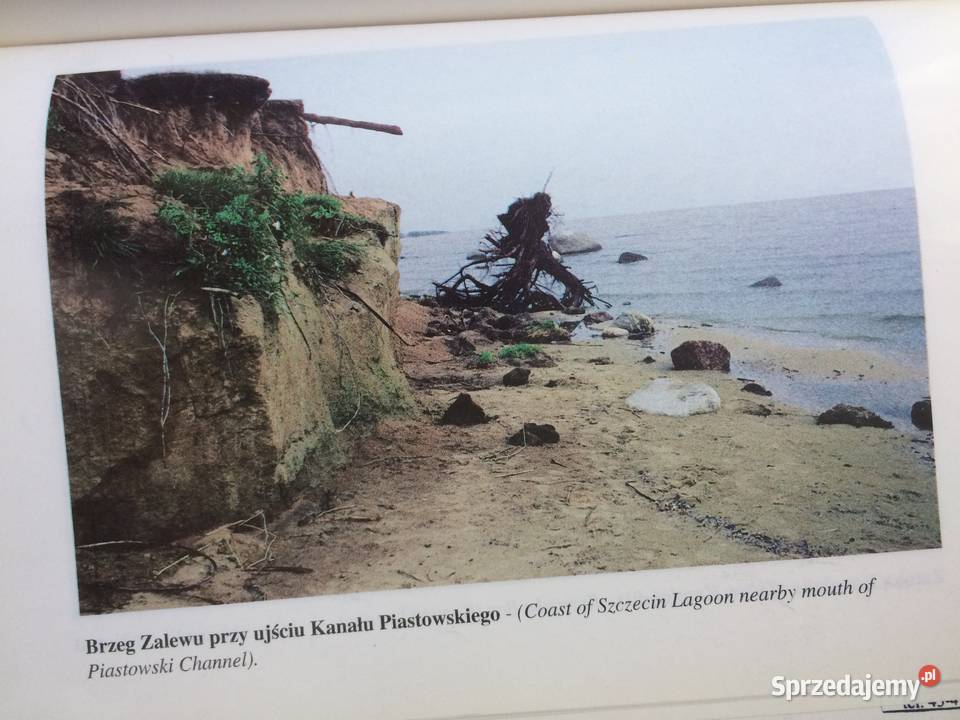 3431 Ostoje Ptaków W Pol Części Zalewu zachodniopomorskie Szczecin