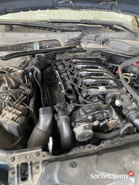 Szybka wymiana oleju silnikowego Poznań