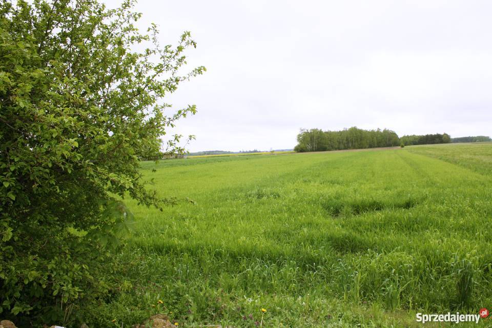 Dom z dużą działką mazowieckie Zdziar Wielki