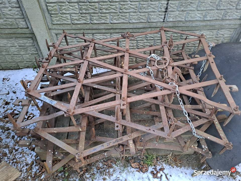 Brony polowe piątki Pyzdry