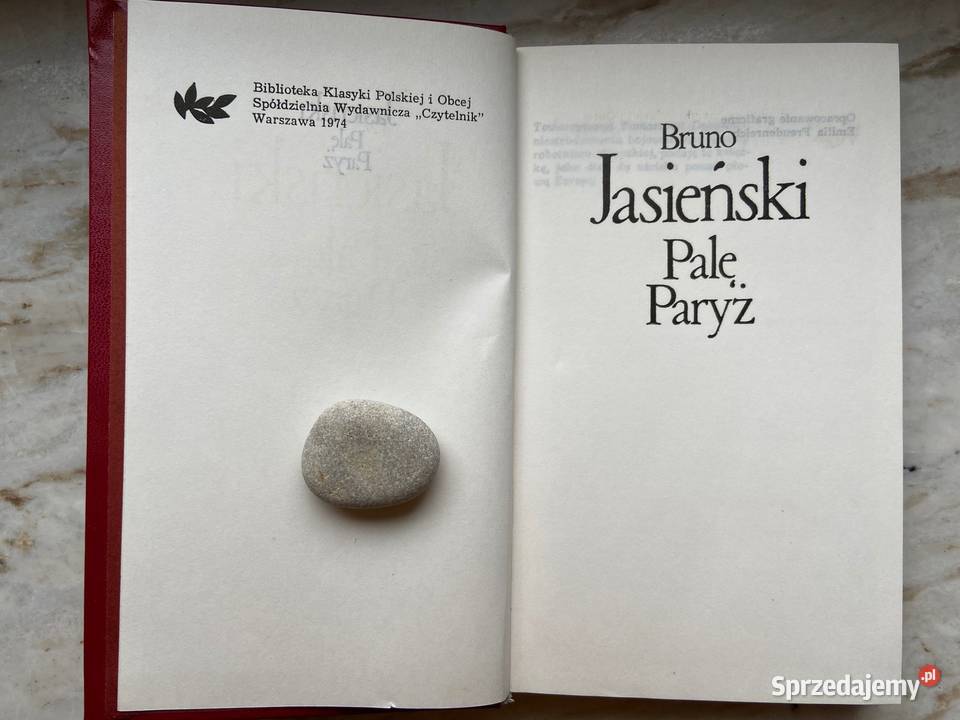 Bruno Jasieński Palę Paryż twarda Katowice