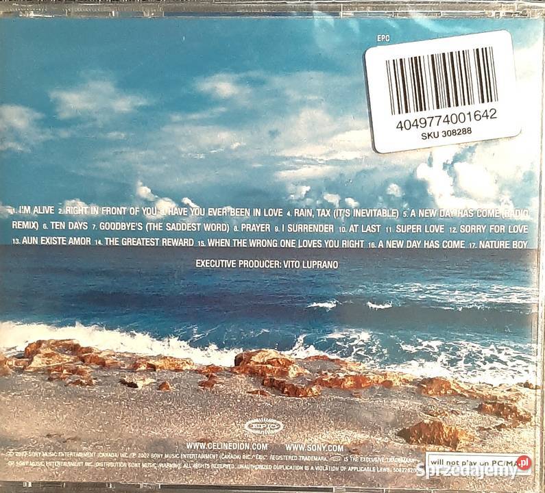 Wspaniały Album CD CELINE DION A Day Has Come CD Chorzów