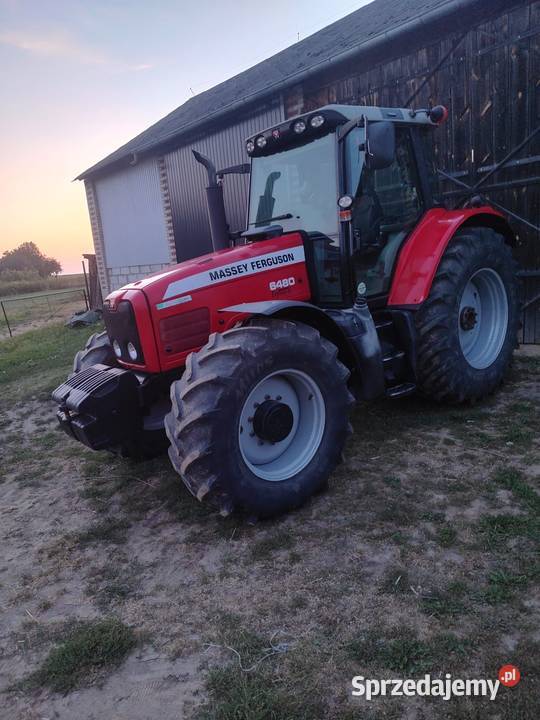 Massey Ferguson 6480 Massey Ferguson lubelskie Krasnystaw