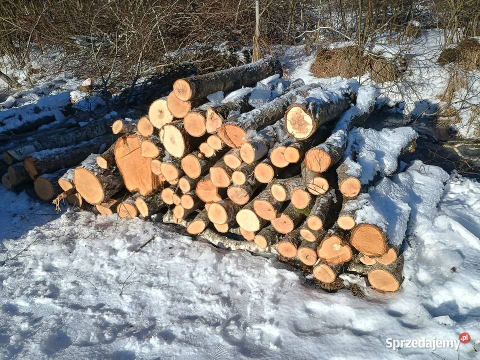 Drewno opałowe kominkowe brzoza wałki Czersk