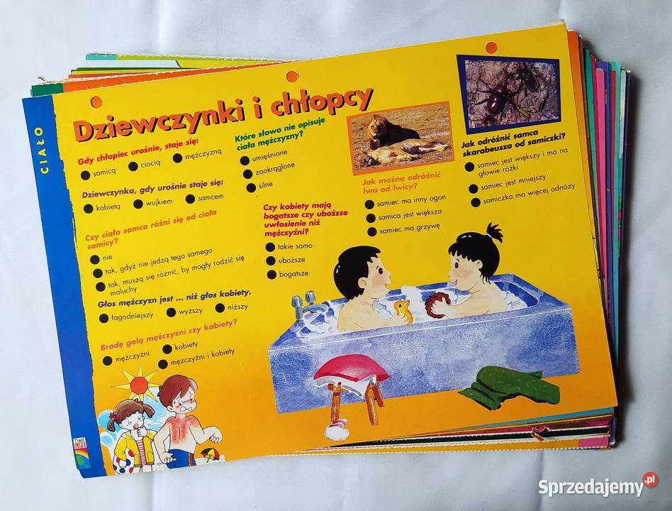 TIME LIFE karty z pytaniami Hajnówka