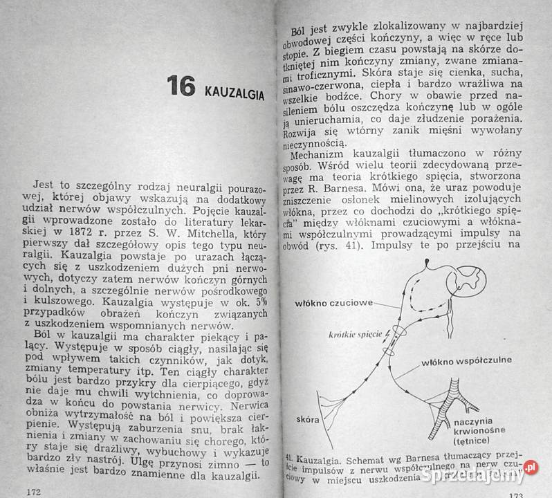 Ból Teofan Maria Domżał lubelskie Chełm