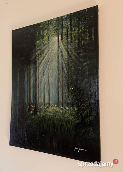 Obraz akrylowy Las Nowy Sącz sprzedam